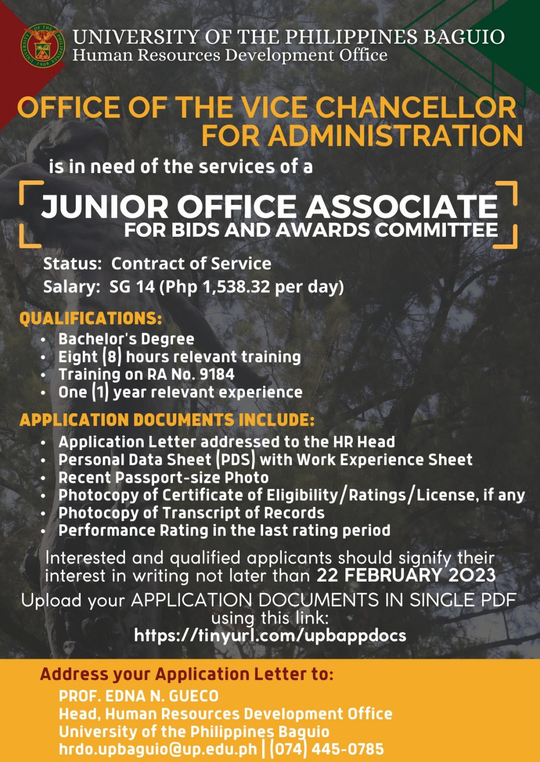 UP Baguio Office of the Vice Chancellor for Administration (Junior ...